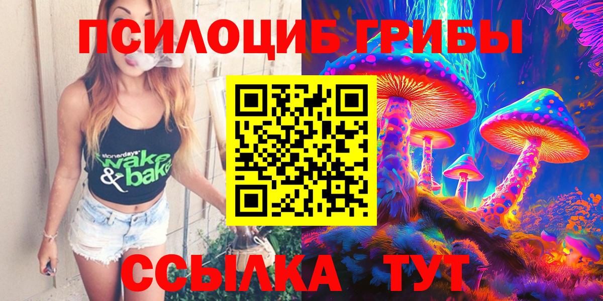 Псилоцибиновые грибы Psilocybe Свободный