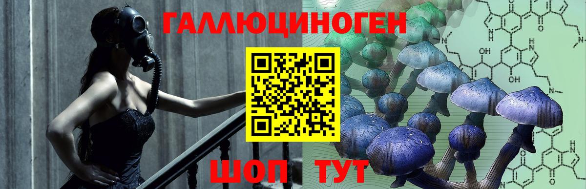 Псилоцибиновые грибы MAGIC MUSHROOMS  где можно купить   Вход с VPN  Свободный  Галлюциногенные грибы Magic Shrooms 